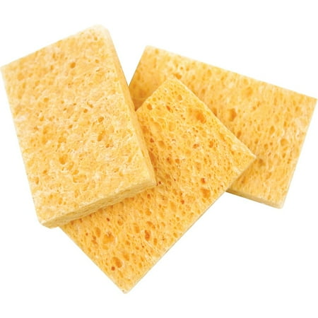 D'Addario Acoustic Guitar Humidifier Replacement Sponges, 3 Pack