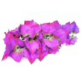 thumbnail image 4 of Tiras blanqueadoras de dientes Jaysuing Manchas de humo Sin residuos Blanqueamiento de dientes sensibles Tiras blanqueadoras No acidifican los dientes -8061320271220, 4 of 4