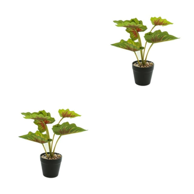 Wosthever Plantas falsas en macetas de tortuga, hojas artificiales de bajo mantenimiento para oficina en el hogar, amigable con la piel Type7 NO7