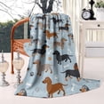 thumbnail image 2 of Cute Dachshund and Dog Footprint Blanket,Comfortable Soft Flannel Throw Blanket,All Season,Warm Lightweight Blankets for Sofa Bed Couch Living Room Chair,40"x50", 2 of 4