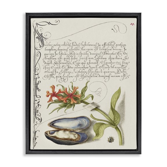 Stupell Industries Oyster & Plant Study Text & Numbers Painting Black Floater Framed Canvas Art Print Wall Art, 17 x 21