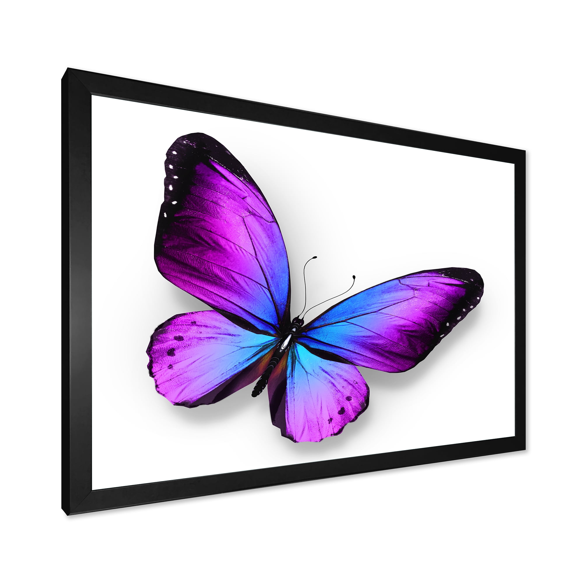 Designart 'Blue and Violet Butterfly' Modern Framed Art Print