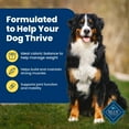thumbnail image 5 of Blue Buffalo Life Protection Formula Healthy Weight Adult Dry Dog Food, Chicken, 34-lb Bag, 5 of 12