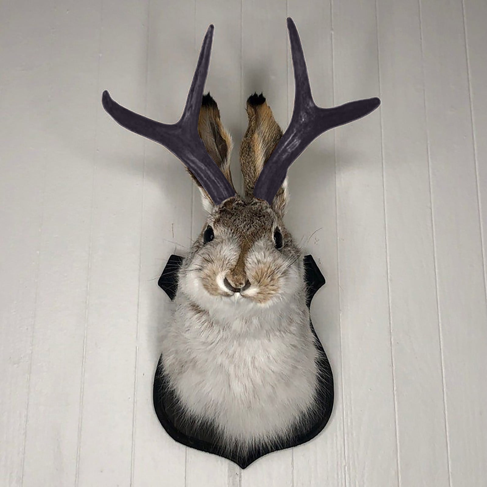 LINMOUA Animal Heads Wall Decor, Taxidermy, Head Wall Decor, Deer