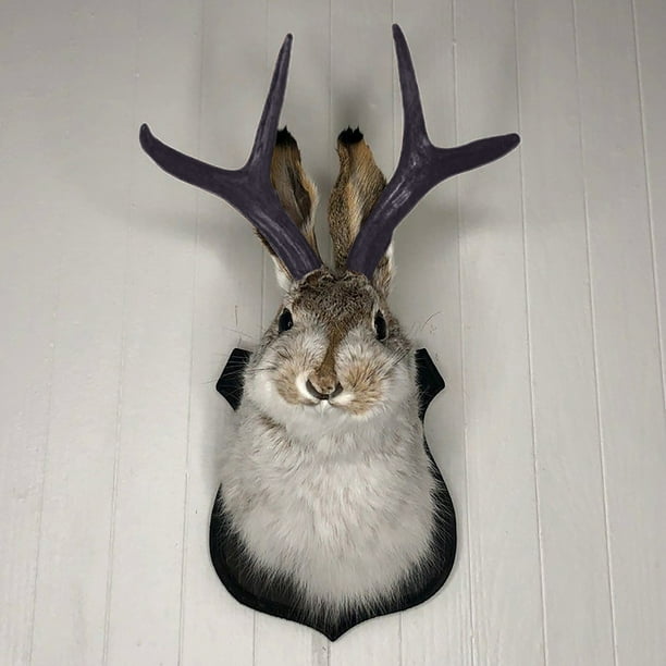 LINMOUA Faux Taxidermy, Head Wall Decor, Deer Head Wall Mount