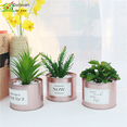 thumbnail image 3 of Plantas suculentas artificiales: miniplantas suculentas artificiales mejoradas en macetas para la decoración de escritorios de la oficina en casa, pequeñas suculentas artificiales variadas en macetas, 3 of 5