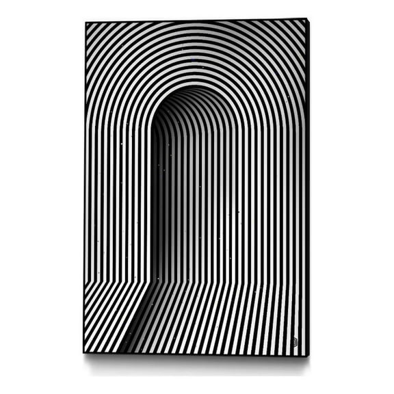 Giant Art Canvas  24x36 Hidden door Framed in White
