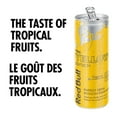 thumbnail image 4 of Boisson énergisante Red Bull, tropicale, 355 ml, 4 of 6
