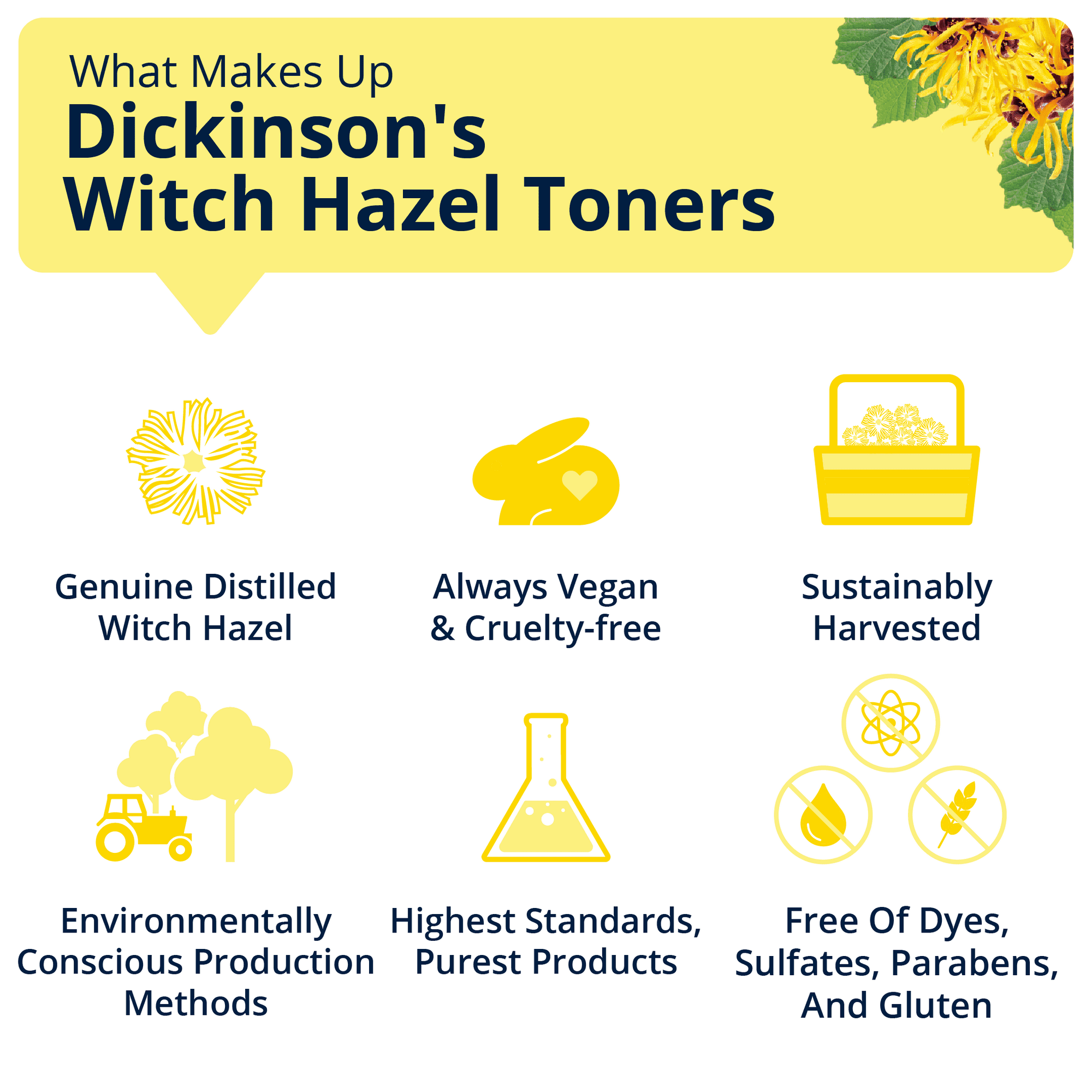 Dickinson's Original Witch Hazel Pore Perfecting Toner, 16 oz, 6 Pack