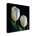 thumbnail image 2 of Trademark Fine Art 'White Tulips Black' Canvas Art by Hall Groat Ii, 2 of 3