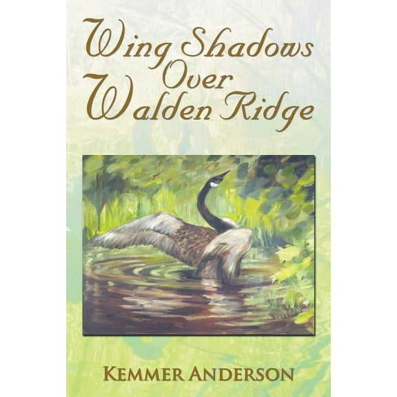 Wing Shadows over Walden Ridge