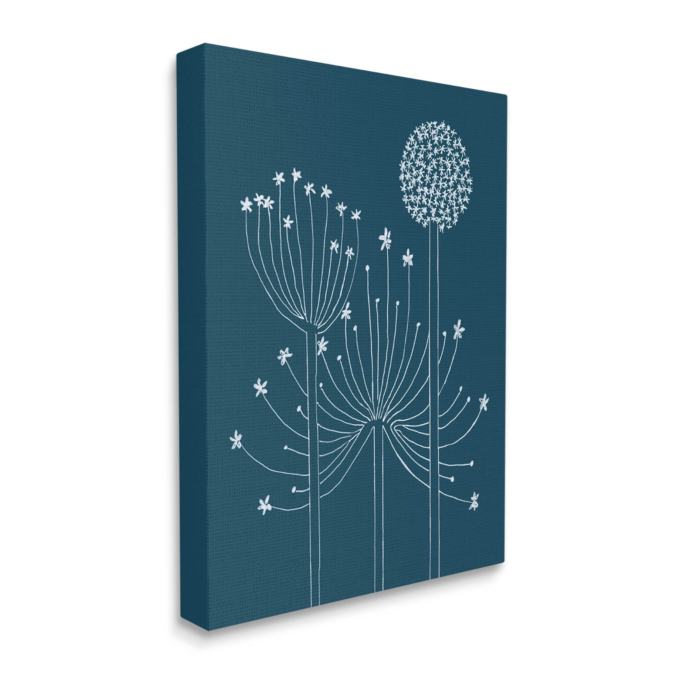 Stupell Industries Varied Dandelion Wild Plant Petals Graphic Art Gallery Wrapped Canvas Print Wall Art, Design by Alicia Longley