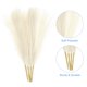 thumbnail image 3 of 4 Paquetes de Hierba Pampas Falsa de 17 Pulgadas, 6 Tallos de Hierba Artificial para Decoración, Beige, 3 of 6