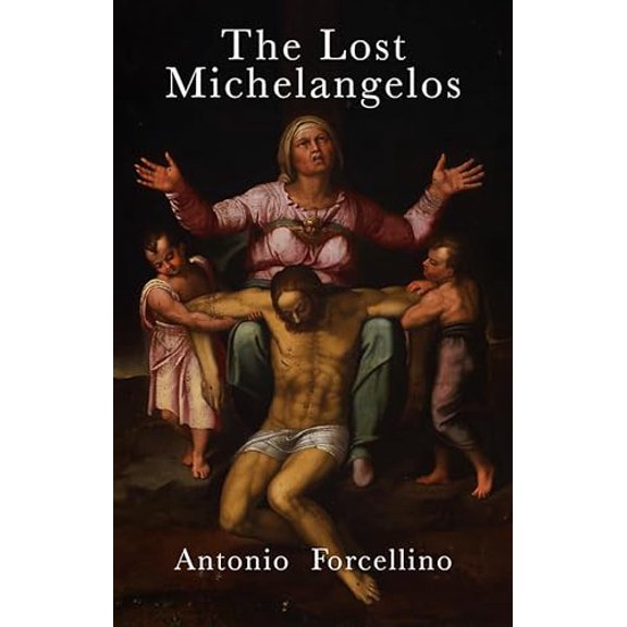 Pre-Owned The Lost Michelangelos (Hardcover) 0745652034 9780745652030