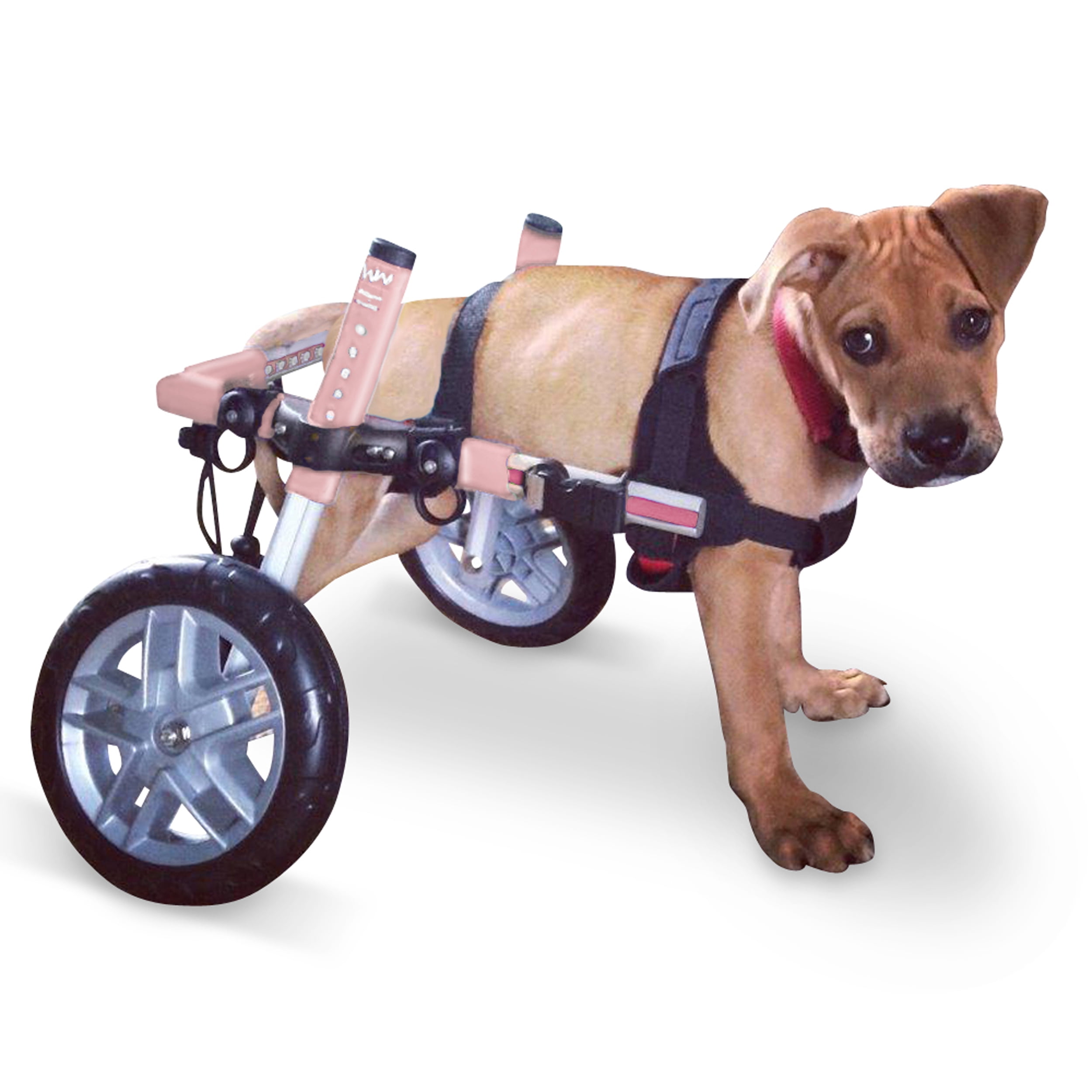 Walkin' Wheels Dog Wheelchair for Small Dogs 1125 Pounds