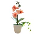 thumbnail image 1 of keepw New Simulation Flower Pot For Indoor Or Outdoor Elegant Realistic Appearance Versatile Bonsai Tree A, 1 of 6