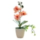 thumbnail image 1 of Árbol Bonsai Bewildely Aspecto Realista Elegante Flores artificiales Maceta 26 cm, 1 of 6