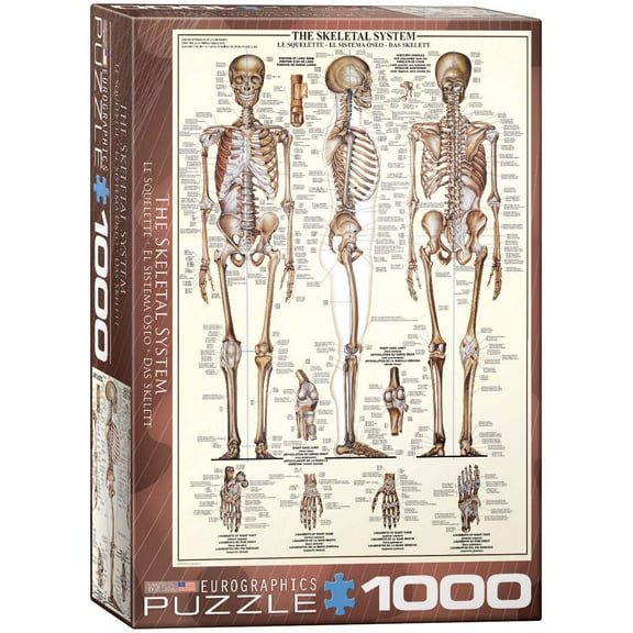 EuroGraphics Skeletal System (Chart) Puzzle (1000-Piece)