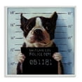 thumbnail image 5 of Stupell Industries Funny Boston Terrier Dog Jail Convicted Police Framed Wall Art, 17 x 17, Design by Lucia Heffernan, 5 of 5