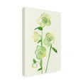 thumbnail image 2 of Alicia Ludwig 'Petite Fleur VI' Canvas Art, 2 of 3