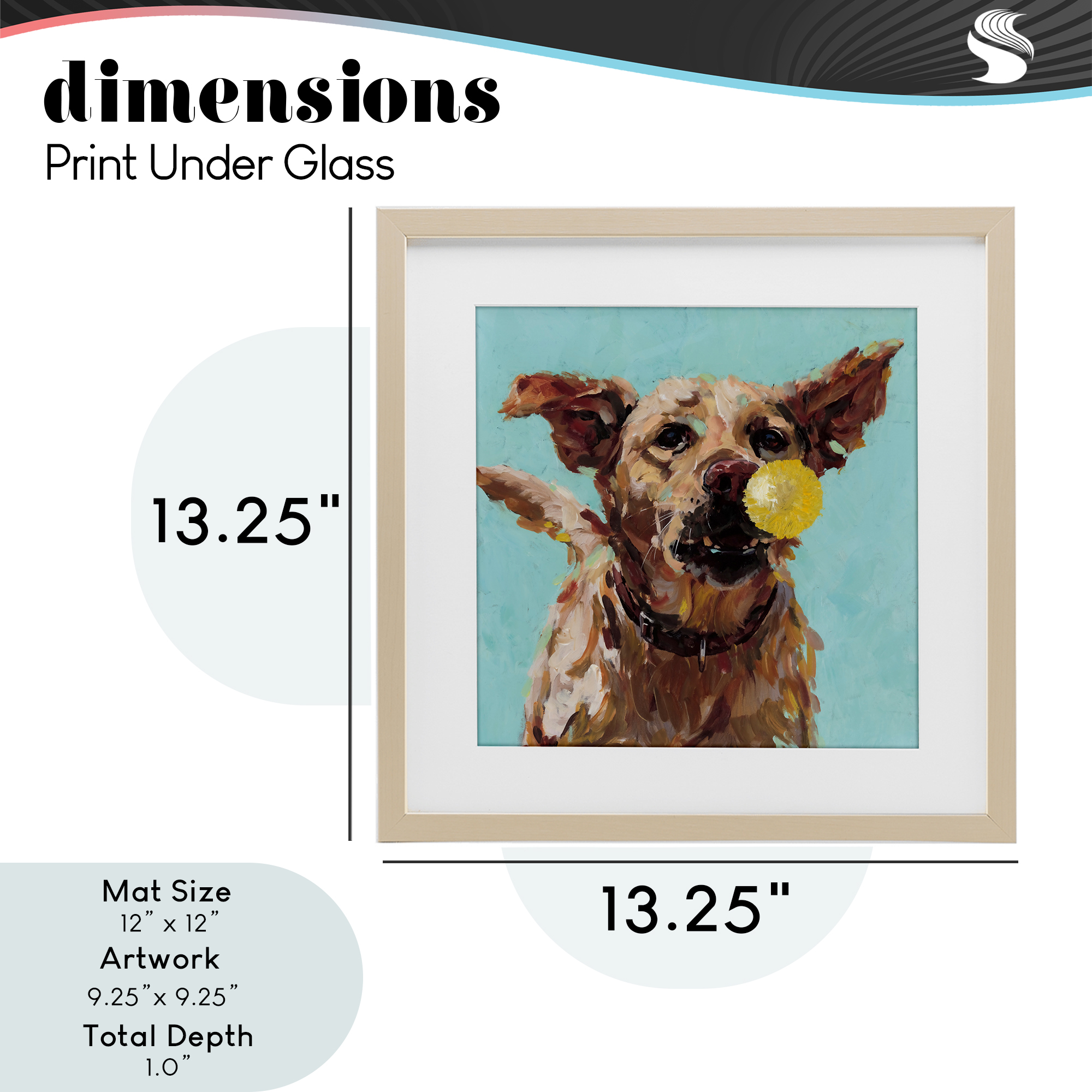 Dog Playing with Ball Birch Framed Print Under Glass, design by Studio Bautista