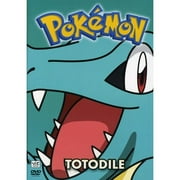 Pokemon All Stars, Vol. 16 (Full Frame) by Viz Media