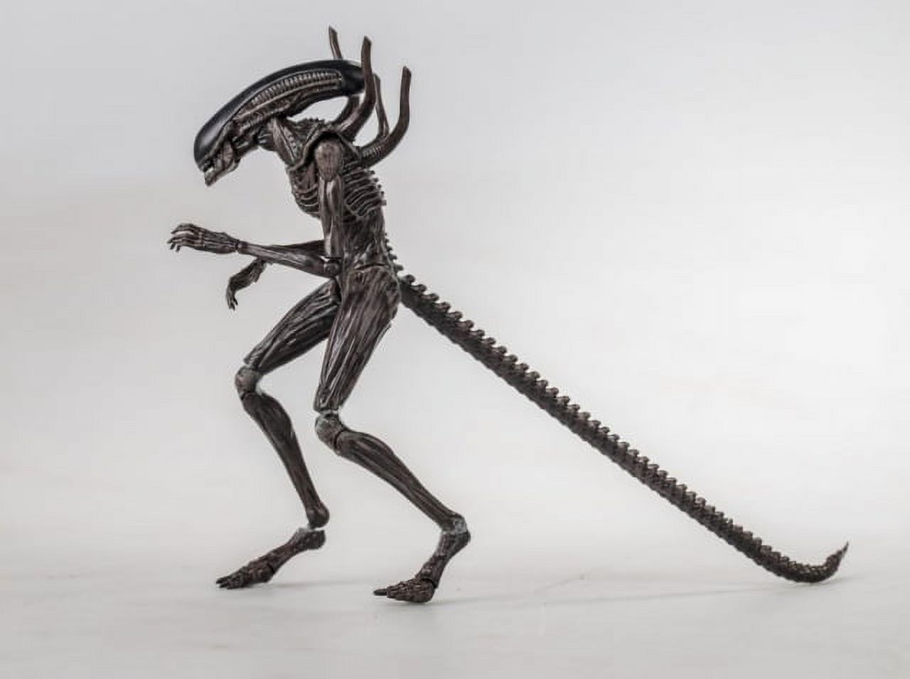 (未使用･未開封品)NECA Alien: Covenant - 7&quot; Scale Action Figure - Xenomorph Action Figure 41O5QSJgykL.jpg_BO30,255,255,