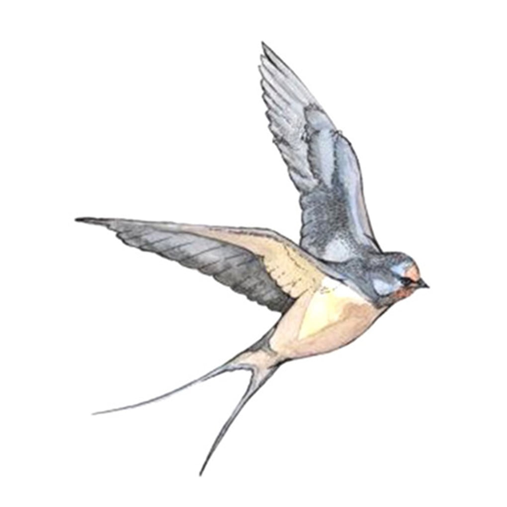 yingyy Fly Swallows Birds Design Body Art Tattoo Men Women Arm Leg Tattoo Girl Men Women Arm Leg Wrist Foot Hand Temporary Sticker | Walmart Canada yingyy Fly Swallows Birds Design Body Art Tattoo Men Women Arm Leg Tattoo Girl Men Women Arm Leg Wrist Foot Hand Temporary Sticker | Walmart Canada