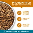 thumbnail image 4 of Purina ONE Tender Select Blends Dry Cat Food, Chicken, 16 lb Bag, 4 of 11