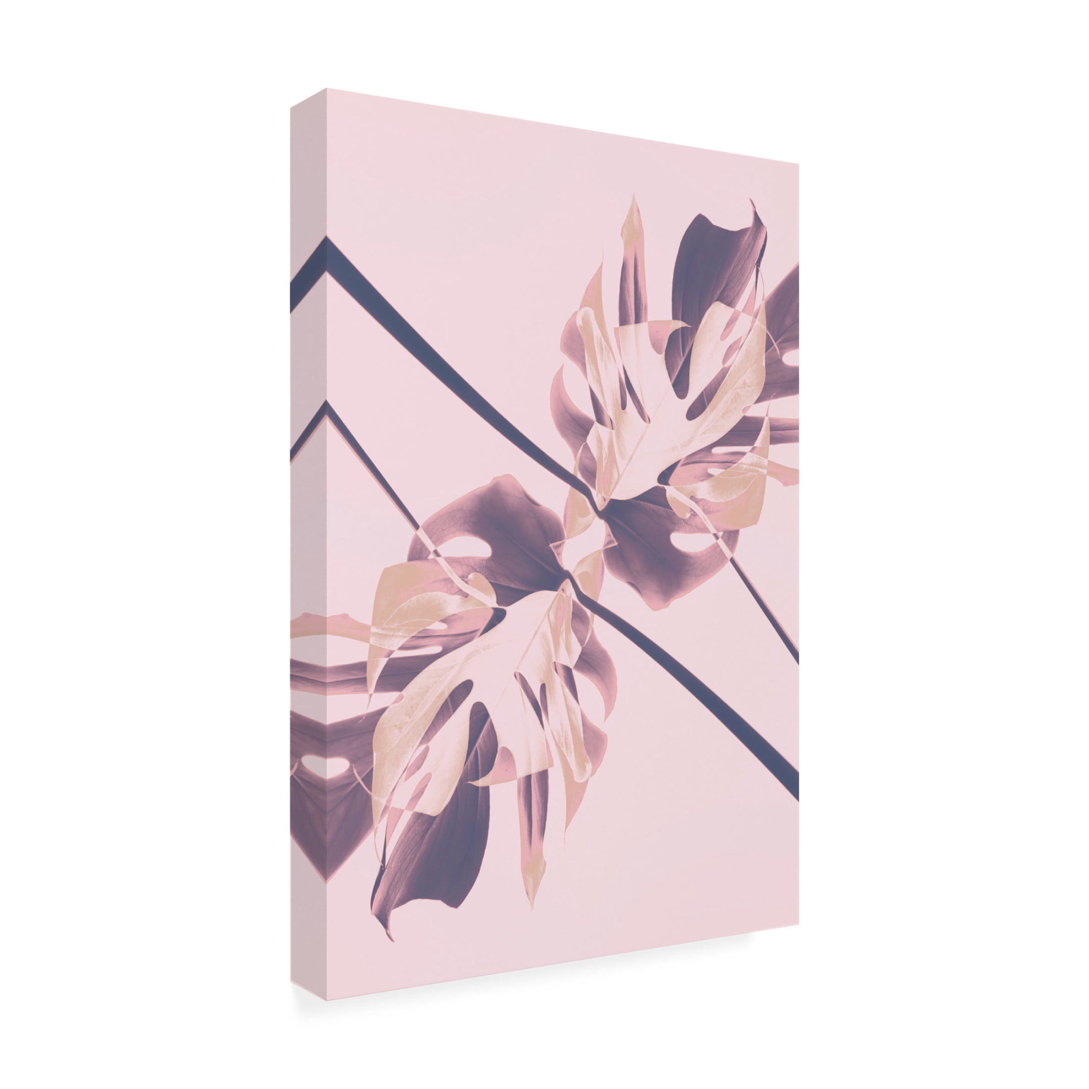 Trademark Fine Art Pictufy Studio Monstera Kaleidoscope 07 Canvas Wall Art