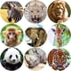 thumbnail image 1 of Pegatinas realistas de animales del zoológico YUANXCMXG 200 piezas, 1 of 4