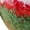 Green, variant on OJJCXA Womens Socks Breathable Casual Thickened Coral Velvet Acrylic Festive Birthday Christmas Socks