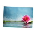 thumbnail image 4 of Tachiuwa Réservoir d'Aquarium Fond Adhésif Lotus Image L L, 4 of 9