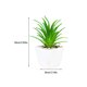 thumbnail image 3 of Advancent Simulación de suculentas, Mini maceta para bonsái, flores falsas en maceta, para el hogar, jardín, oficina, fiesta, dormitorio, Decoración tipo 2 Advancent HA084638-02, 3 of 6