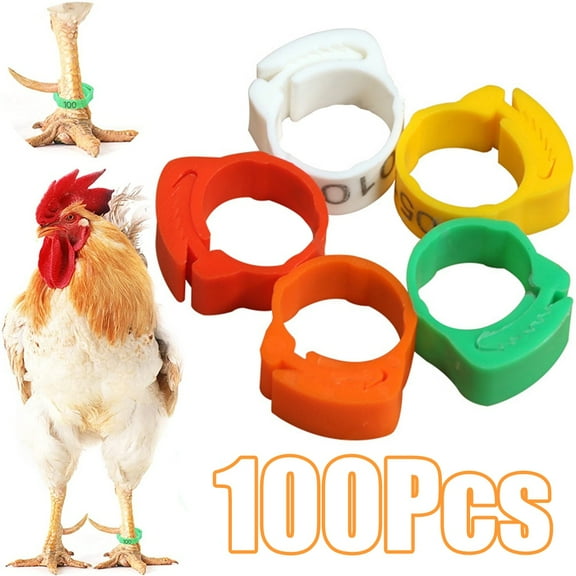 Cheers.US 100Pcs Chicken Birds Leg Rings- Colorful Numbered Chicken Birds Identification Leg Bands Poultry Leg Bands Clip on Leg Rings for Pigeons Lovebird Coturnix Quail Chicken