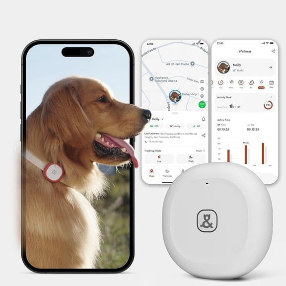 Molly&Cody GPS   Bluetooth Pet Tracker for Cats & Dogs – Real‑Time Tracking, Virtual Fence, IP67 Waterproof, Up to 60‑Day Battery, Health Monitoring, iOS/Android – Subscription Required (White)