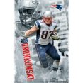 thumbnail image 1 of Posterazzi TIARP13664 New England Patriots - R Gronkowski 14 Affiche Imprimée - 22 x 34 Po., 1 of 1