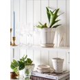 thumbnail image 3 of LE TAUCI Ceramic Plant Pots, 6 Inch Flower Pot with Drainage Hole & Saucer, Embossed Planter Pots for Indoor Plant Succulent, Orc, 3 of 6