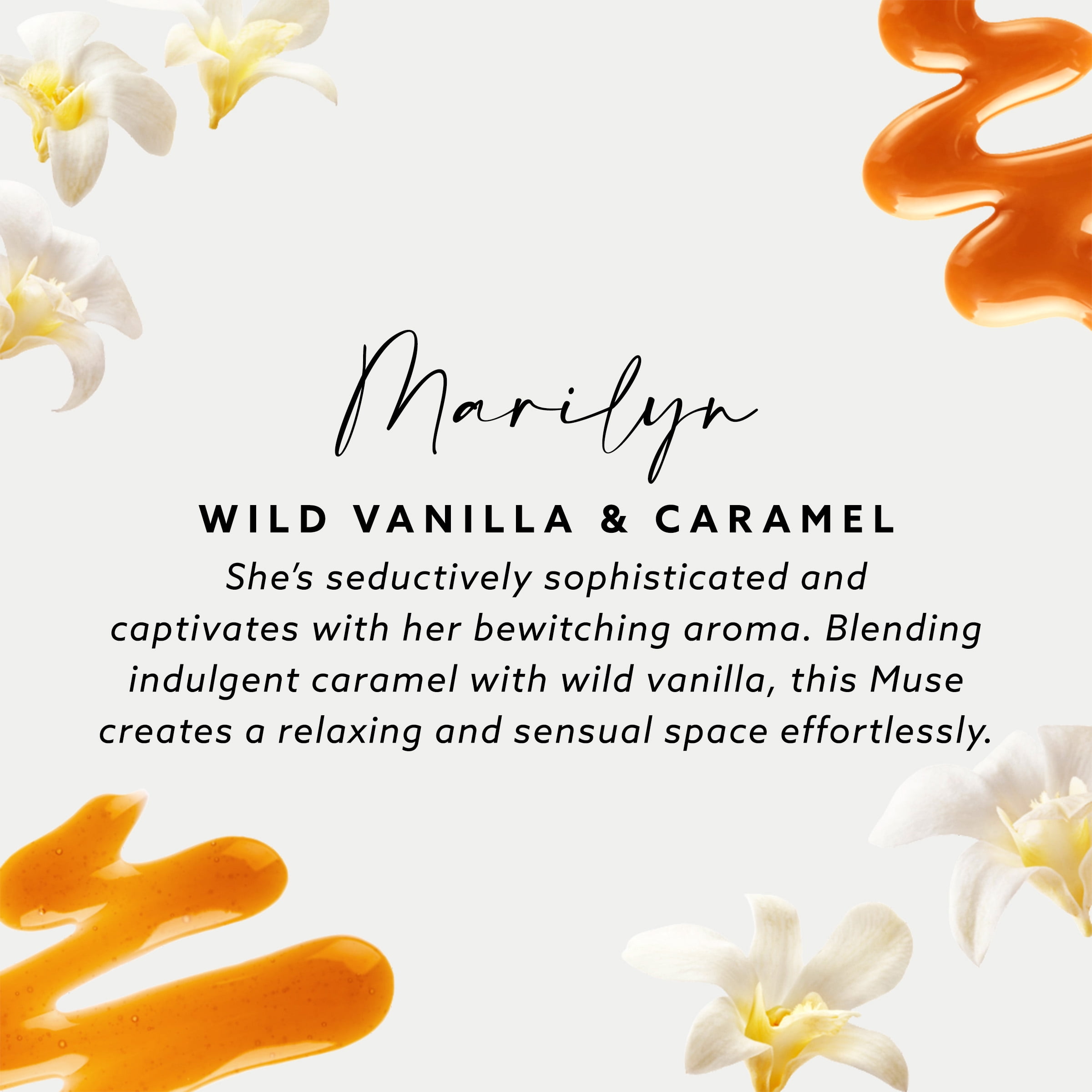 (2 pack) Maison & Muse Car Freshener Vent Clip, 2 Pack - Wild Vanilla & Caramel, Marilyn