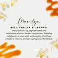 thumbnail image 5 of Maison&Muse 8 Pack – Hanging Car Freshener – Wild Vanilla & Caramel (Marilyn), 5 of 5
