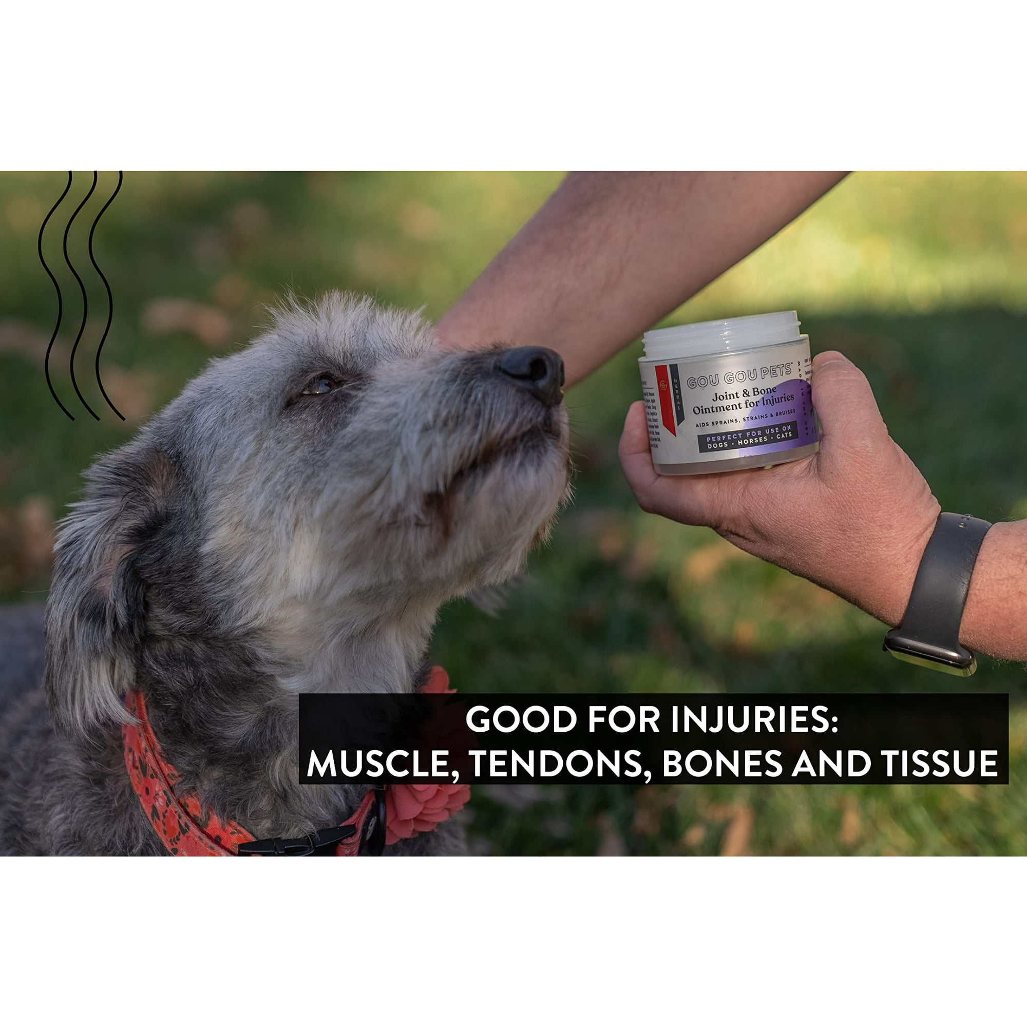 Holistic pain relief for dogs discount