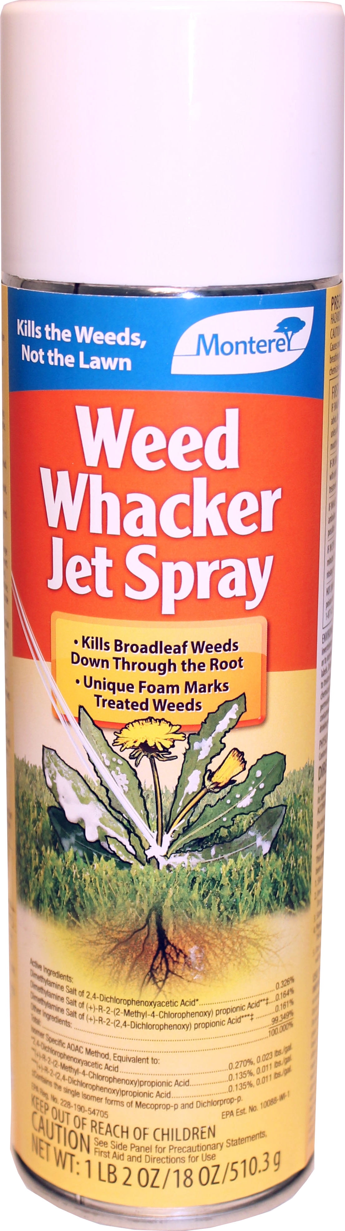 WEED WHACKER JET SPRAY 18OZ 12