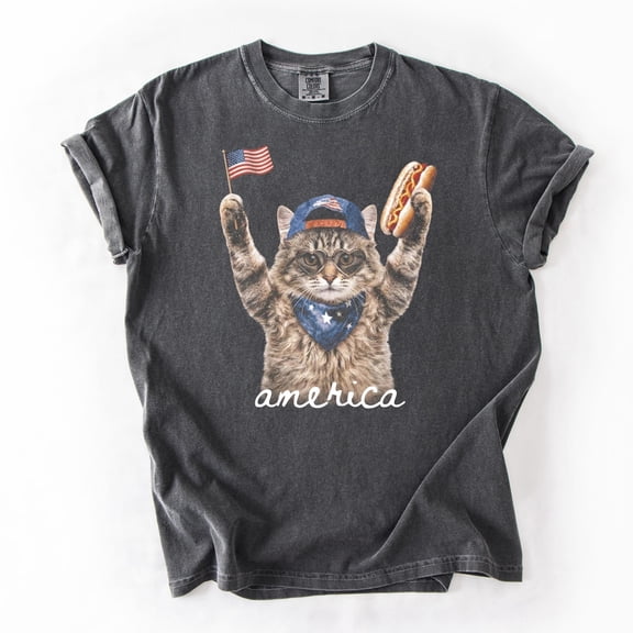 Funny Patriotic Cat American Flag Hot Dog Shirt For Fourth Of July Summer BBQ Shirt