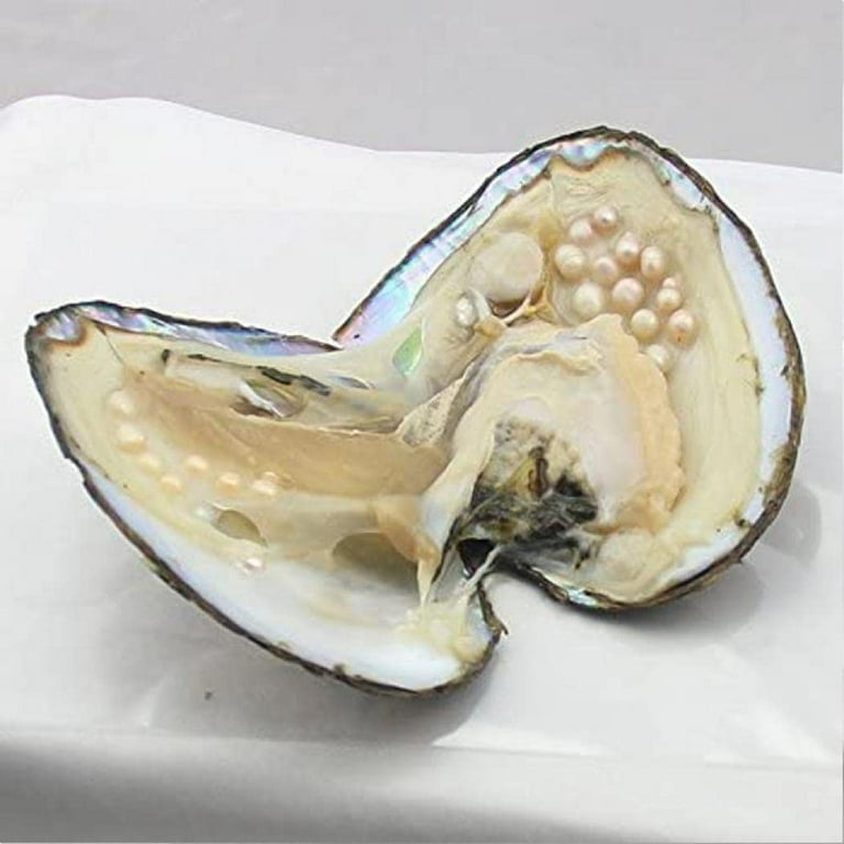 Buy oysters with pearls deals inside