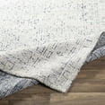 thumbnail image 4 of Hauteloom Ipplepen Living Room, Bedroom Area Rug - Traditional - Blue, White - 6' x 9', 4 of 9