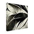 thumbnail image 4 of Canvas Wall Art - Ray Heere 'Flowers Black White 2' Wall Art for Living Room, Bedroom, or Office Décor by Trademark Fine Art - 35 x 35 Inches, 4 of 4