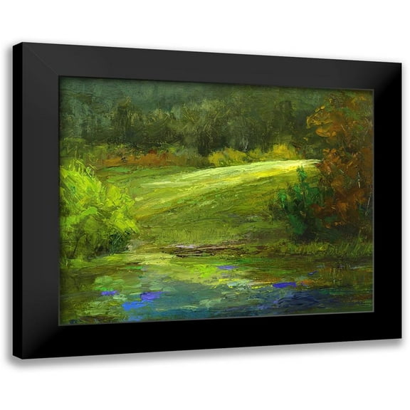 Finch, Sheila 14x12 Black Modern Framed Museum Art Print Titled - Horsepark at Woodside