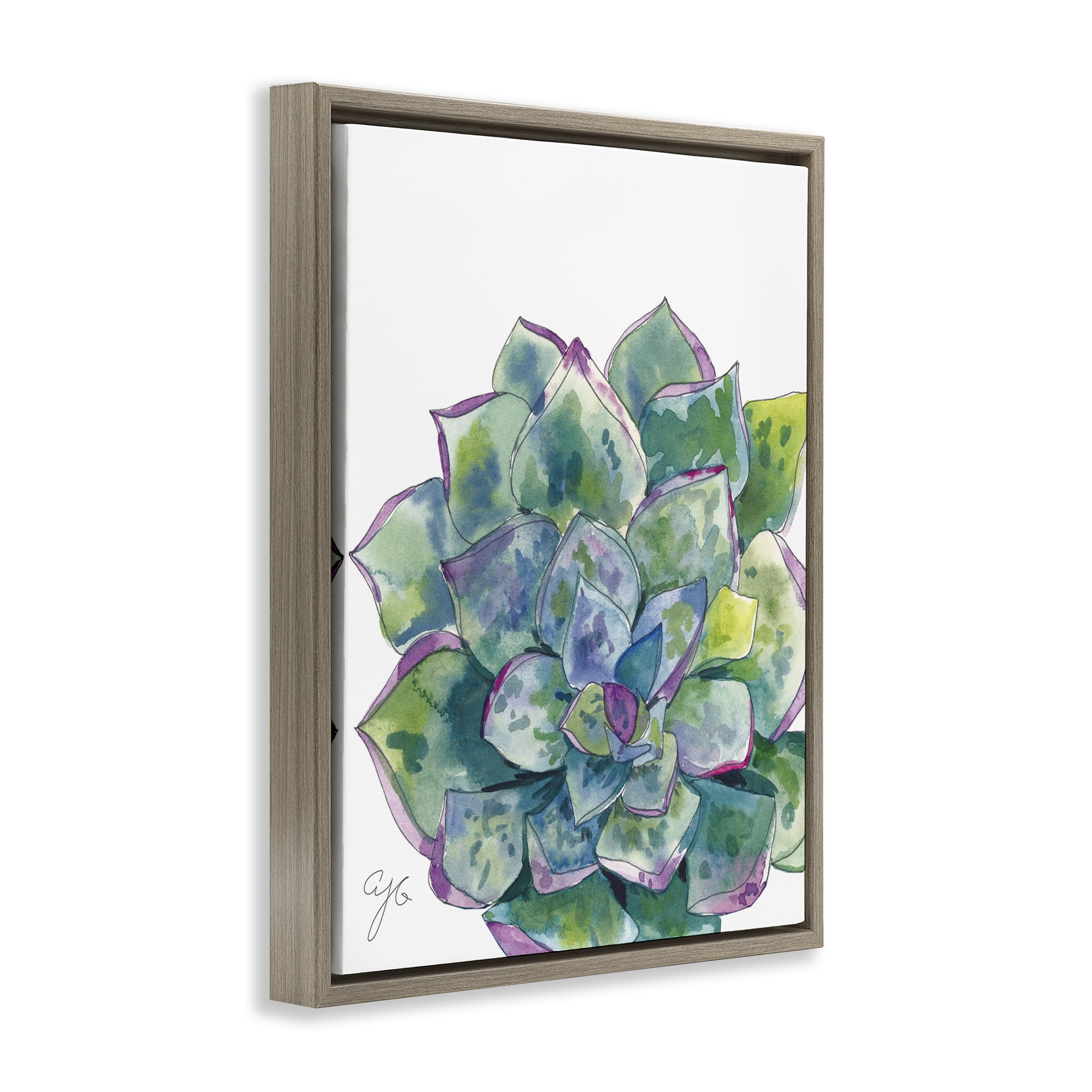 Stupell Industries Abstract Succulent Watercolor Botanical & Floral Painting Brown Floater Framed Art Print Wall Art, 17 x 21