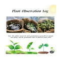 Plantable Seed Calendar 2025 Perfect Planner 2025, Featuring Growable