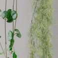thumbnail image 1 of unbranded Suculentas Artificiales Para De Interiores Y Miniaturas, 1 of 6